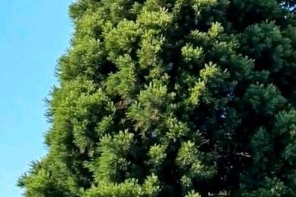 Haus Bördeland - 14 Zimmer, 224 m&sup2;, 389.000&euro; | Angebot:25233224