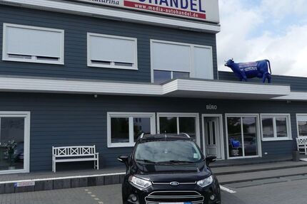 Ford EcoSport 126.000 km 7.900 &euro; Magdeburg 39108