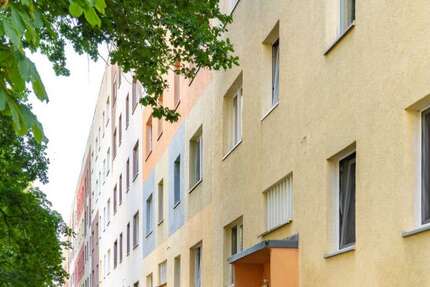 Wohnung zum Mieten in Wolmirstedt 351,34 € 49.28 m² 2 zimmer