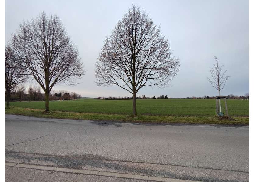 Grundstück zu verkaufen in Magdeburg 290.000 € 1900 m²
