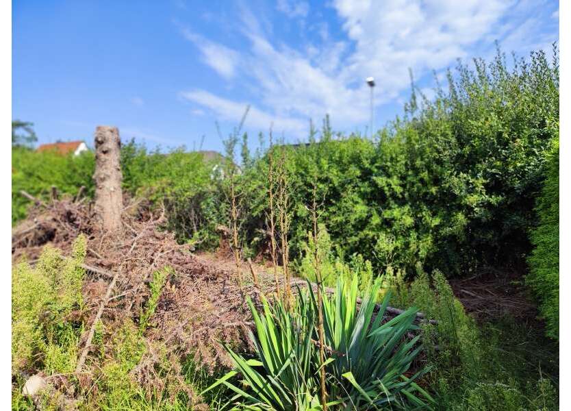 Grundstück zu verkaufen in Magdeburg 273.000 € 700 m²