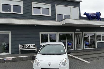 Renault Twingo 193.000 km 2.500 &euro; Magdeburg 39108