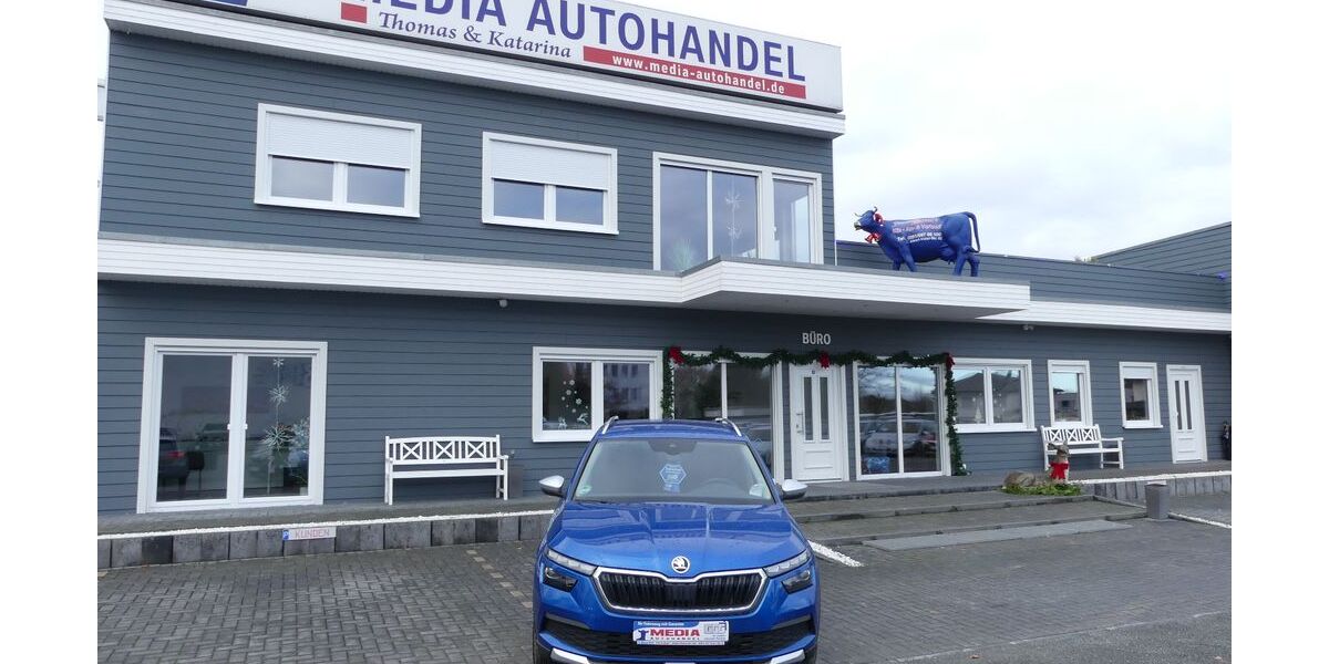 Skoda Kamiq 43.000 km 18.000 &euro; Magdeburg 39108