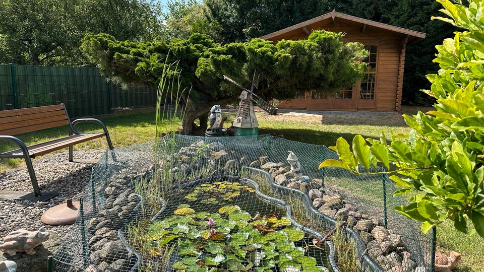 Mehrfamilienhaus, Wohnhaus Magdeburg Beyendorf-Sohlen - 280.000&euro; | Angebot:24283476