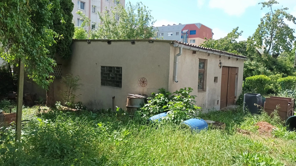 Solides Einfamilienhaus in Wolmirstedt mit universellem Entwicklungs-Potential - Einfamilienhaus Wolmirstedt Wolmirstedt | Angebot:27285641
