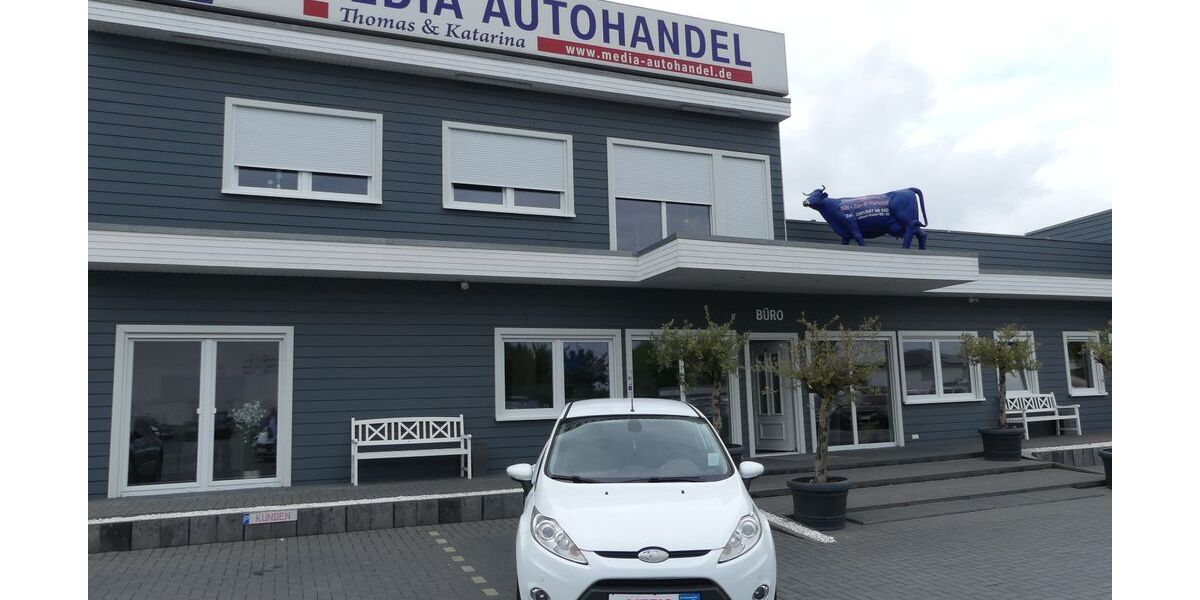 Ford Fiesta 118.000 km 6.000 &euro; Magdeburg 39108