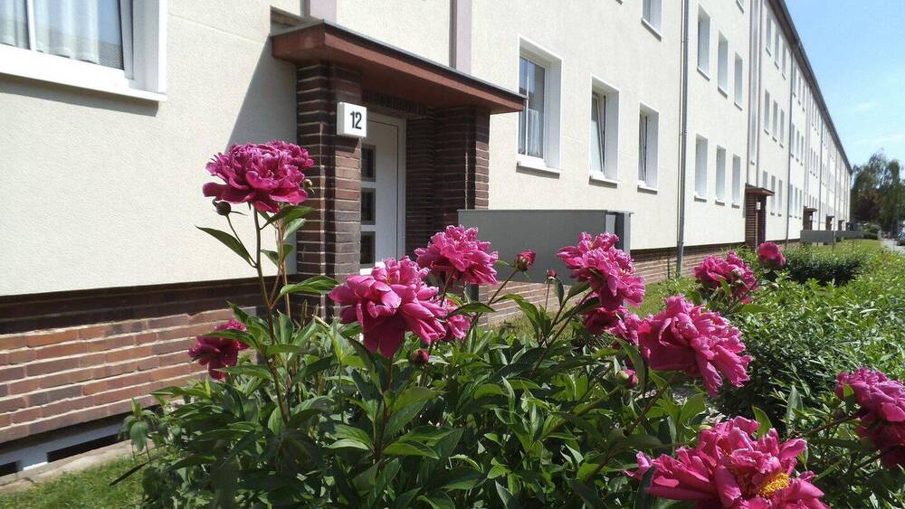 Etagenwohnung Magdeburg Stadtfeld West - 2 Zimmer, 62 m&sup2;, 470&euro; | Angebot:26822005