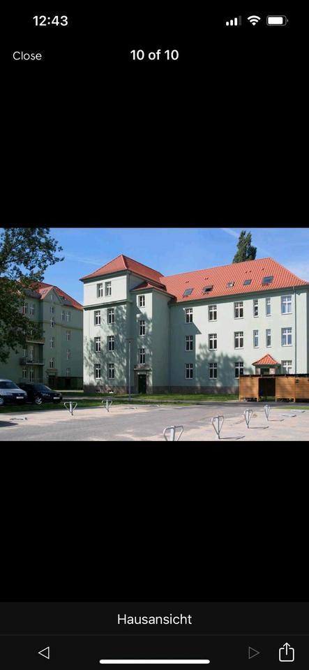 Schöne große 2-Raum-Wohnung - beliebte Lage - Haustiere erlaubt zimmer