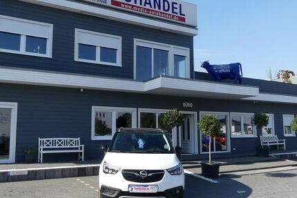 Opel Crossland (X) 44.000 km 13.000 &euro; Magdeburg 39108