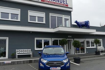 Ford EcoSport 55.000 km 12.000 &euro; Magdeburg 39108