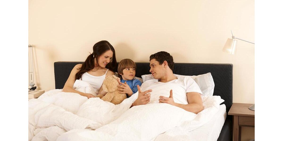 Einfamilienhaus Magdeburg Brückfeld - 8 Zimmer, 198 m&sup2;, 799.000&euro; | Angebot:25637634