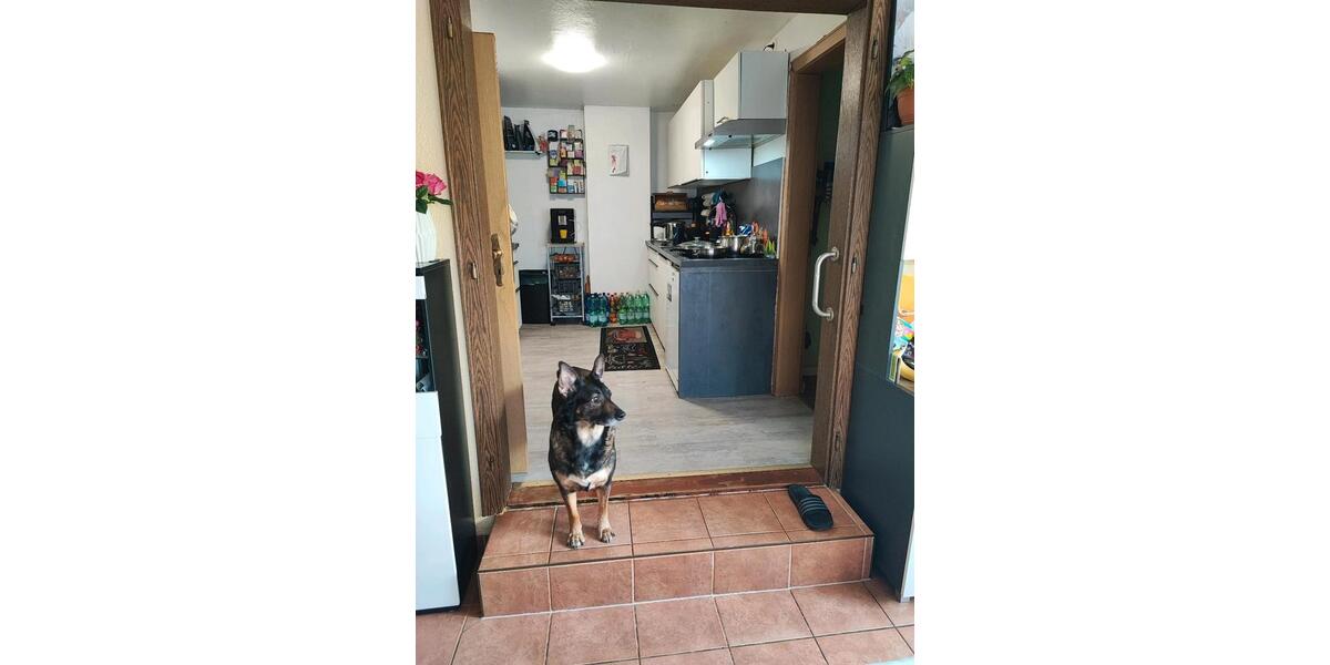 Doppelhaushälfte Magdeburg Großer Silberberg - 4 Zimmer, 116 m&sup2;, 260.000&euro; | Angebot:25417674