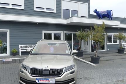 Skoda Kodiaq 35.000 km 28.000 € Magdeburg 39108