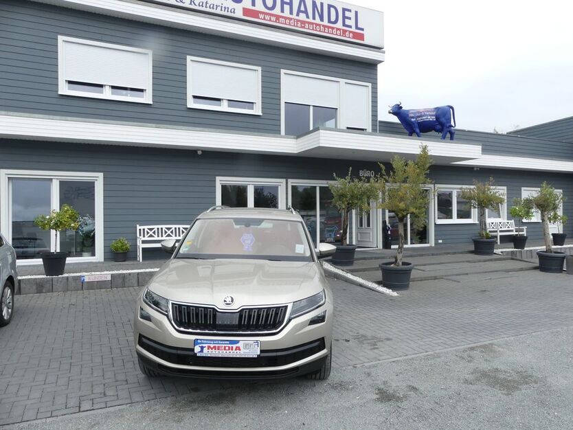 Skoda Kodiaq 35.000 km 28.000 € Magdeburg 39108