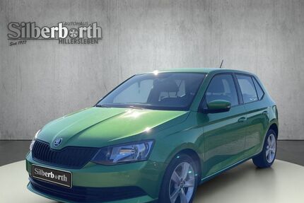 Skoda Fabia 79.538 km 9.190 &euro; Hillersleben 39343
