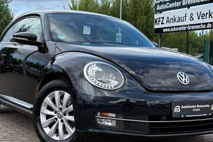 VW Beetle