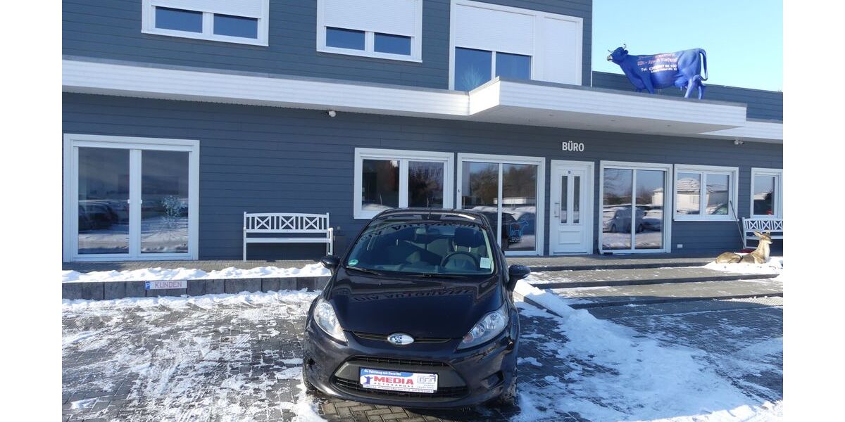 Ford Fiesta 139.000 km 4.900 &euro; Magdeburg 39108