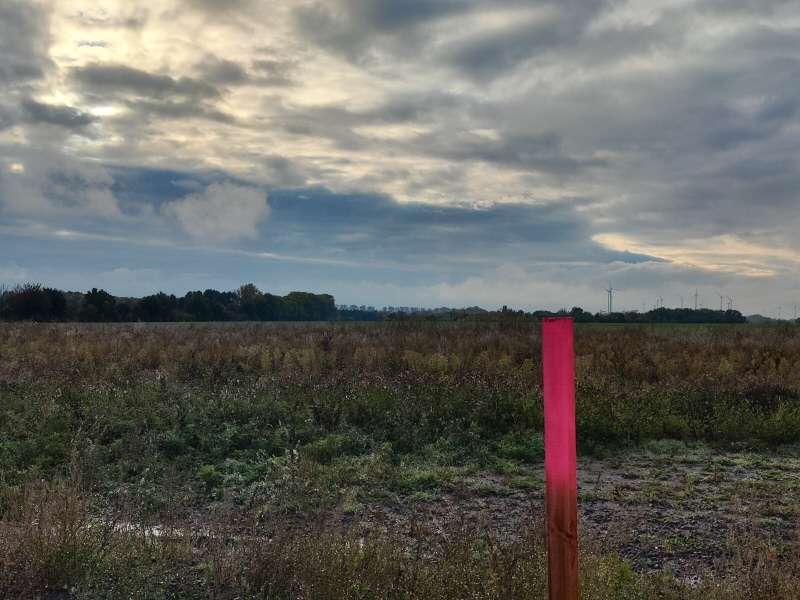 Grundstück zu verkaufen in Groß Santersleben 107.660 € 769 m²