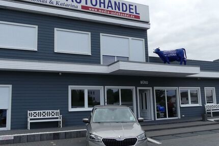 Skoda Fabia 56.000 km 11.500 &euro; Magdeburg 39108