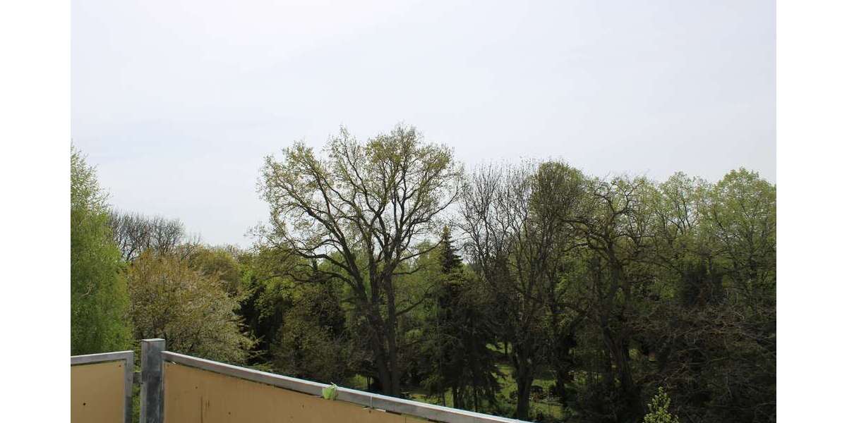 ruhige 4 Zimmer-Wohnung im Hinterhaus ***frisch renoviert*** mit Balkon 4 zimmer