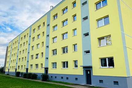 Wohnung zum Mieten in Magdeburg 380 € 56 m² 2 zimmer