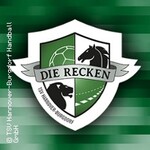 Premium Arrangement - TSV Hannover-Burgdorf - Rhein-Neckar Löwen