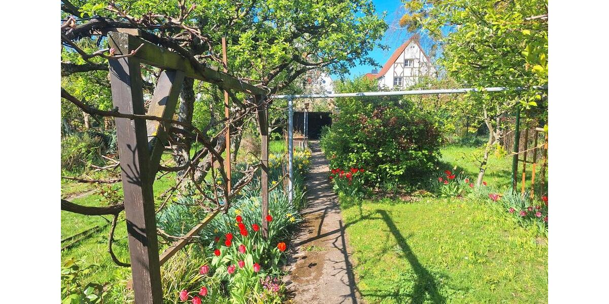 Doppelhaushälfte Magdeburg Hopfengarten - 4 Zimmer, 118 m&sup2;, 225.000&euro; | Angebot:26410965