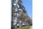 Etagenwohnung Magdeburg Barleber See - 2 Zimmer, 58 m&sup2;, 486&euro; | Angebot:25880846