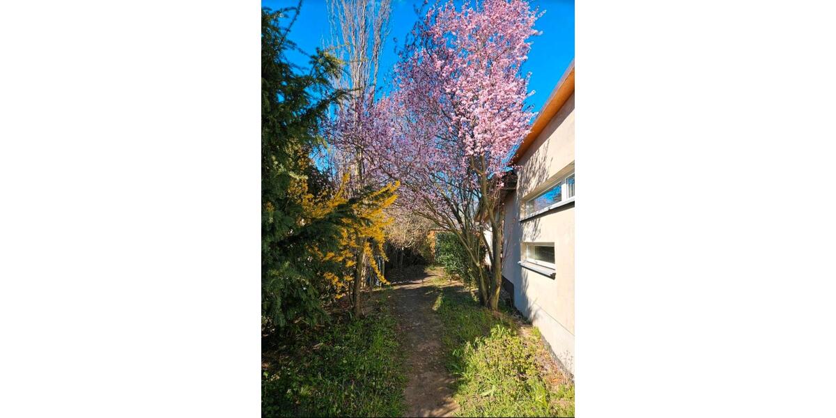 Bungalow Möckern - 5 Zimmer, 125 m&sup2;, 300.000&euro; | Angebot:27417736