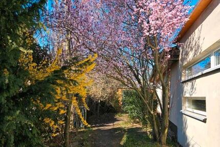 Haus Möckern - 5 Zimmer, 125 m&sup2;, 300.000&euro; | Angebot:27417736