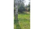Bungalow Schönebeck (Elbe) Pretzien - 2 Zimmer, 35 m&sup2;, 42.000&euro; | Angebot:26427211