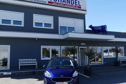 Ford Fiesta 21.000 km 11.000 &euro; Magdeburg 39108