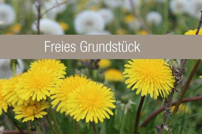 Grundstück zu verkaufen in Magdeburg 114.898 €