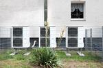 Etagenwohnung Möckern - 3 Zimmer, 63 m&sup2;, 450&euro; | Angebot:26587406