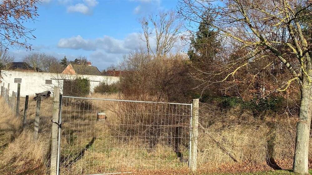Grundstück Randau-Calenberge Calenberge - 179.000&euro; | Angebot:25666805