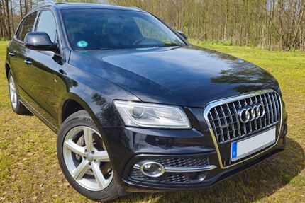 Audi Q5 258.000 km 17.500 € Haldensleben 39340