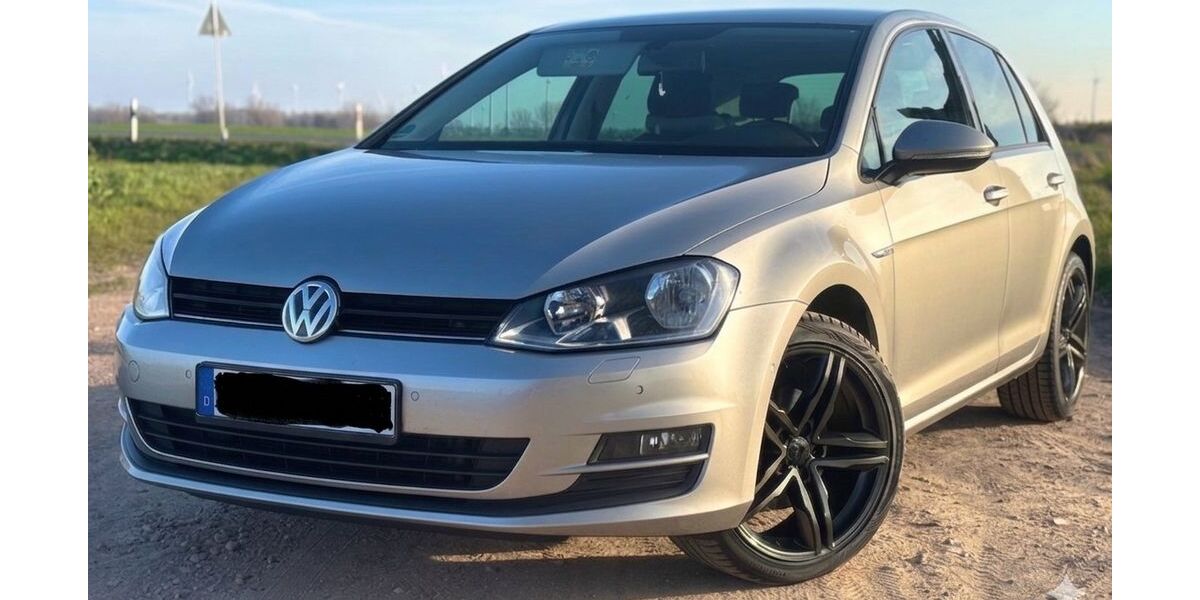 VW Golf 180.000 km 9.999 &euro; Erxleben 39343