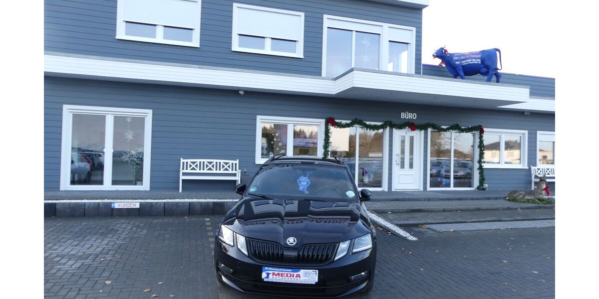 Skoda Octavia 173.000 km 15.000 &euro; Magdeburg 39108