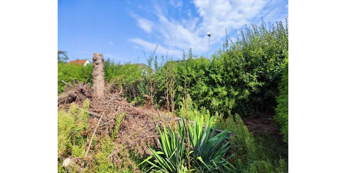 Grundstück Magdeburg Großer Silberberg - 136.000&euro; | Angebot:26313294