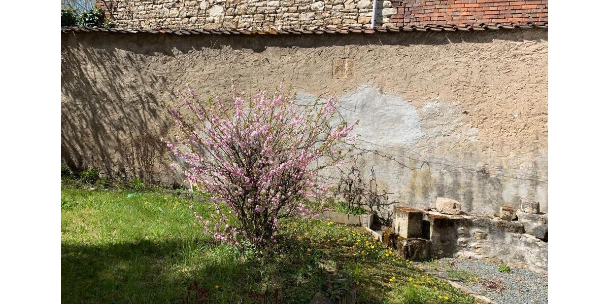 Einfamilienhaus Börde-Hakel Hakel - 7 Zimmer, 130 m&sup2;, 229.000&euro; | Angebot:26112629