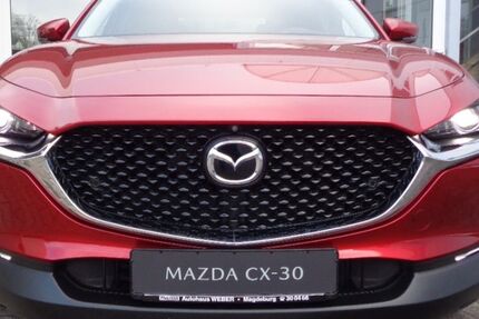 Mazda CX-30 32.538 km 21.990 &euro; Magdeburg 39126