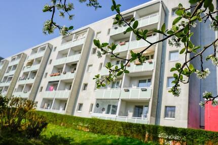 Wohnung Magdeburg Ottersleben - 3 Zimmer, 57 m&sup2;, 365&euro; | Angebot:26355963