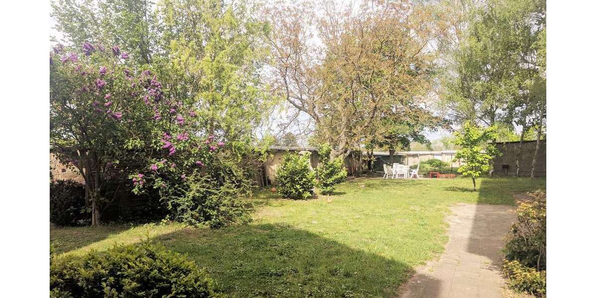 2-Zimmer-Wohnung inkl. Einbauküche ***1 Monat kaltmietenfrei*** - Erdgeschoßwohnung Burg | Angebot:8994940