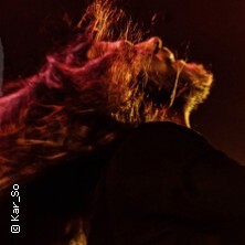 Diary Of Dreams - Live 2025 Magdeburg