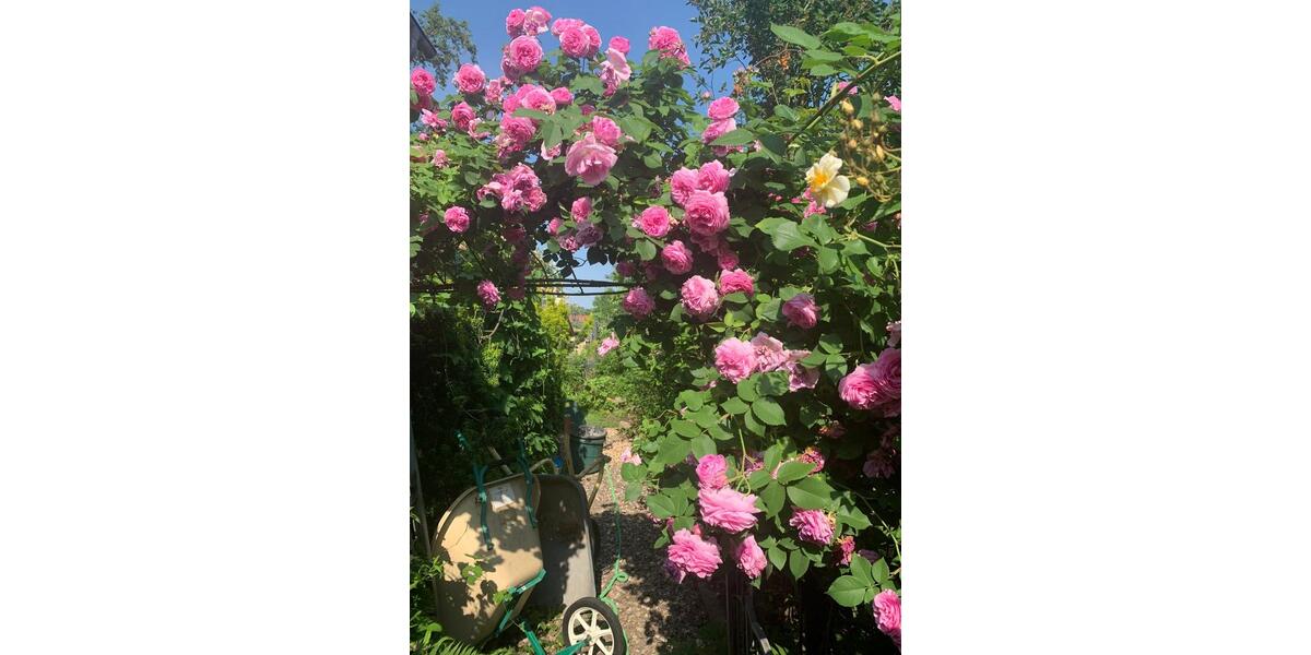 Einfamilienhaus Magdeburg Leipziger Straße - 5.5 Zimmer, 164 m&sup2;, 400.000&euro; | Angebot:25655963