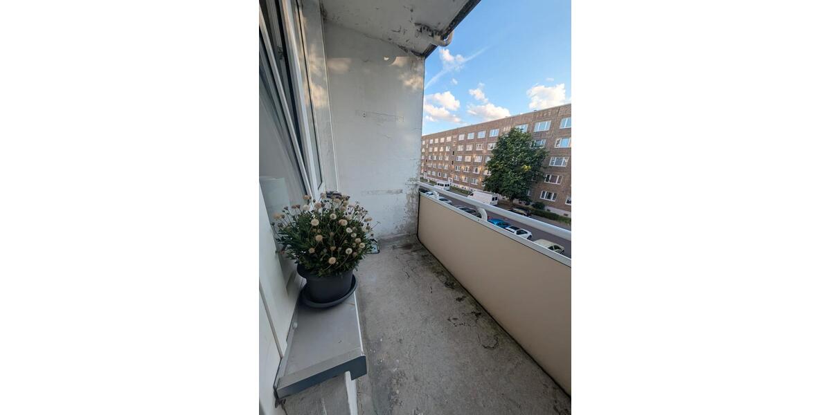 Einfamilienhaus Magdeburg Neue Neustadt - 2 Zimmer, 50 m&sup2;, 502&euro; | Angebot:27646548