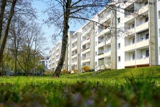 Dachgeschoßwohnung Magdeburg Ottersleben - 3 Zimmer, 57 m&sup2;, 500&euro; | Angebot:27650845