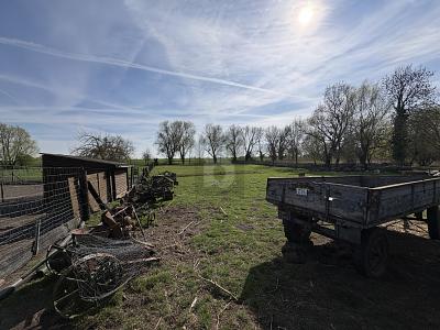 NATUR PUR- VIEL PLATZ FÜR DIE GESAMTE FAMILIE - Grundstück Drackenstedt Drackenstedt | Angebot:26326841