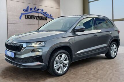 Skoda Karoq 21.100 km 24.909 &euro; Hohenwarsleben bei Magdeburg 39326