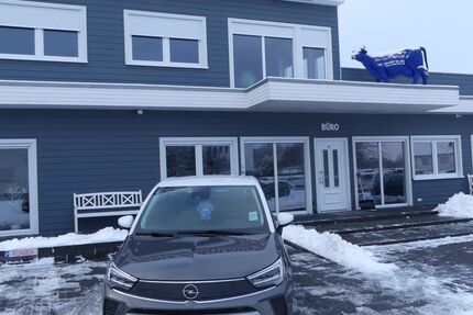 Opel Crossland (X) 26.000 km 17.900 &euro; Magdeburg 39108